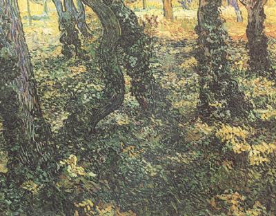 Tree Trunks with Ivy (nn04), Vincent Van Gogh